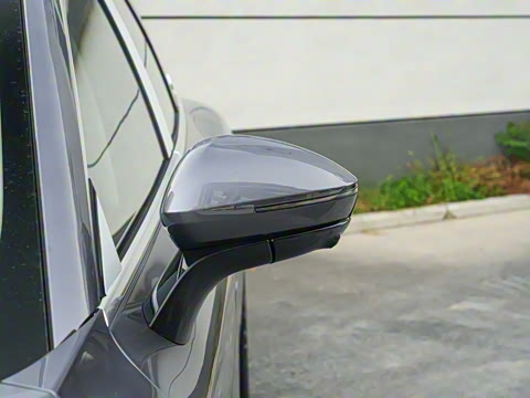 2025�� 260��������������