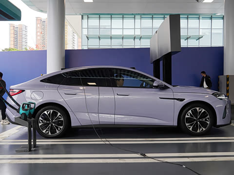 2026�� 705�콢��