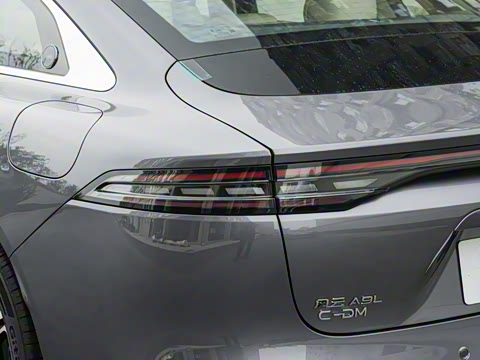 2025�� 260��������������