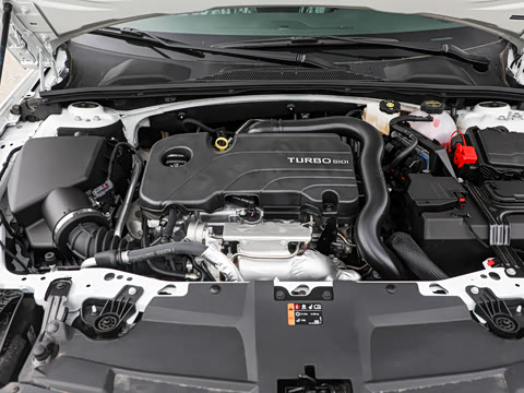 2025�� 25T ������