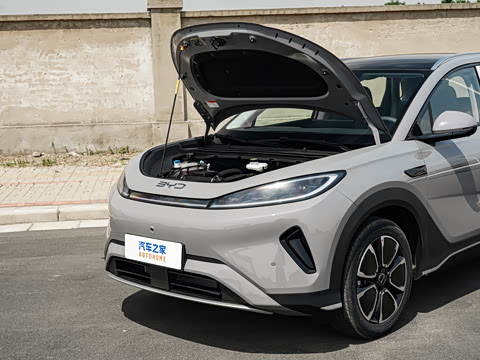 2026�� DM-i 305�캽��