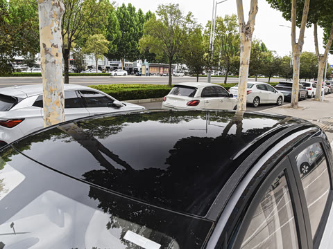 2026�� 403km ������