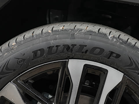 2026�� ˫�� 2.5L �����콢��