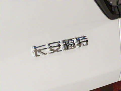 2026�� ���L 2.0T EcoBoost ��������������