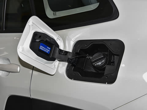 2026�� ˫�� 2.5L �����콢��