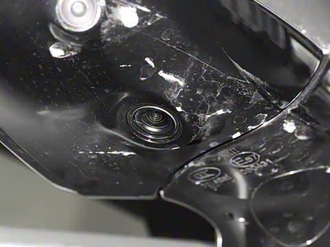 2025�� 260����������