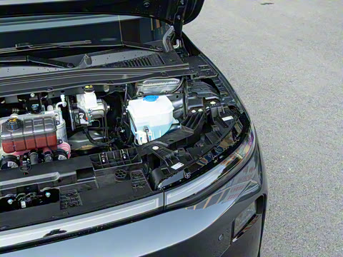 2025�� 650������