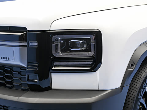 2026�� 255km ������