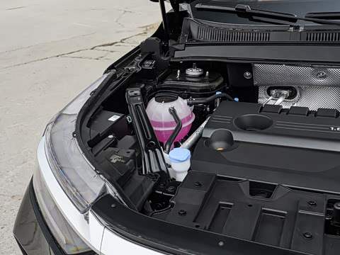 2026�� �ھ��� 290T ���������� 7��