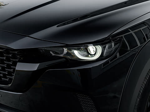 2026�� 2.5L ���а�