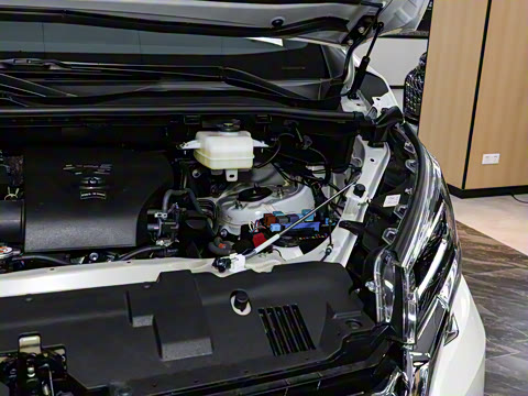 2025�� 9����ʨ ������