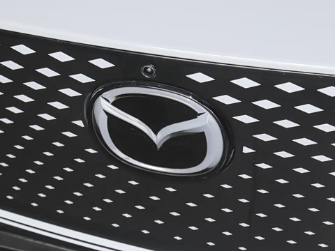 2026�� ����600 Pro