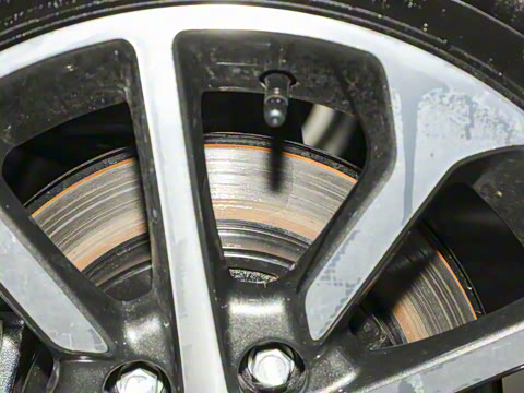 2025�� ׿Խ�� 1.5L �ֶ�������