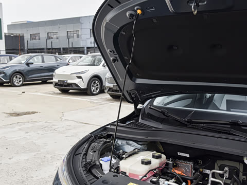 2025�� 445km ���ð�