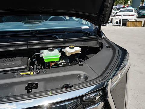 2025�� �������հ�