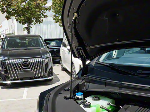 2025�� �������հ�