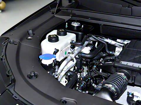 2026�� 121km ������ 7��