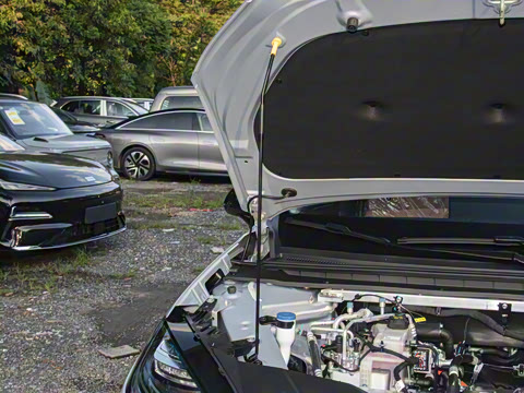 2026�� 650�Ǻ���