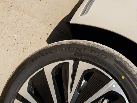 2025�� ������