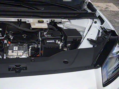 2026�� 520�Ǻ���