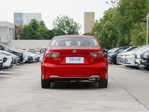 2024�� ���ܵ��˫�� 2.0L ������