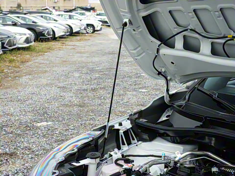 2026�� 2.0L �ȷ��