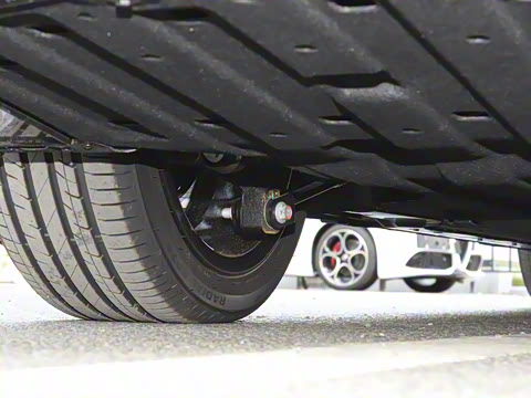 2025�� 550������