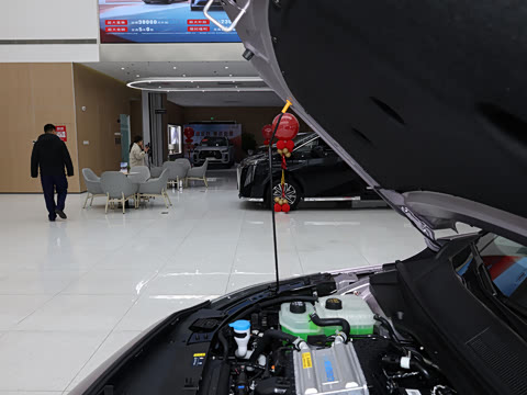 2026�� Ӱ�� 270T ������