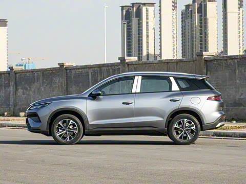 2026�� DM-i 133KM��ȡ��