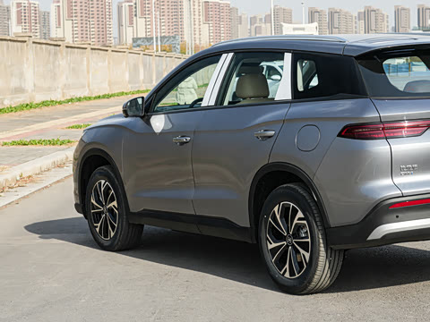 2026�� DM-i 133KM��ȡ��