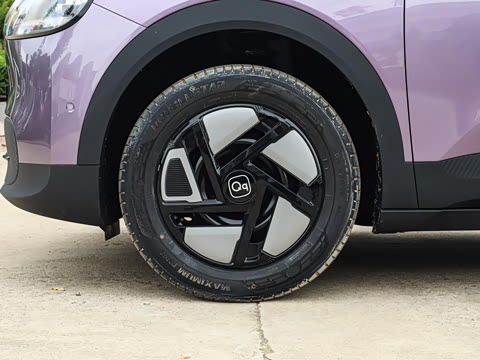 2026�� 310������