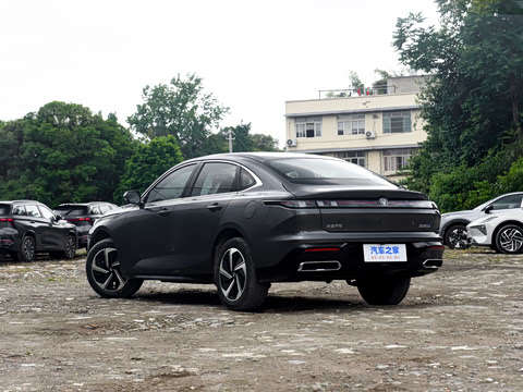 2026�� 1.5L �������� ������