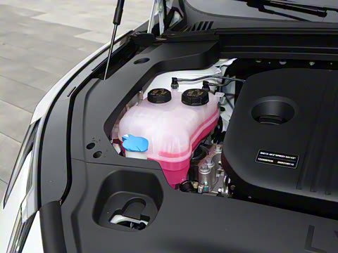 2026�� 126������ Max