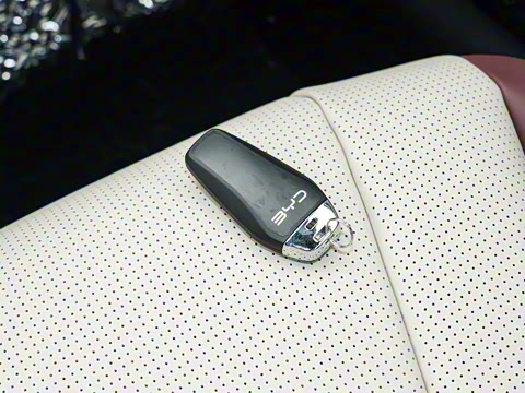 2026�� DM-i 1.5T 230km ������