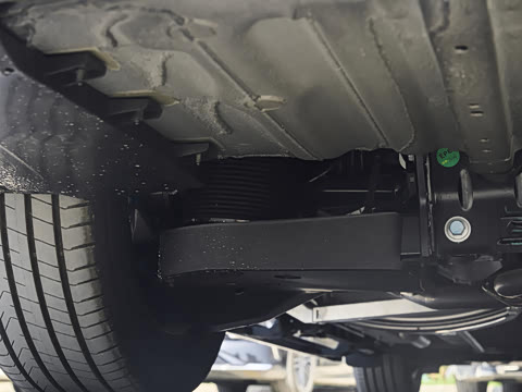 2026�� 1220����Max��