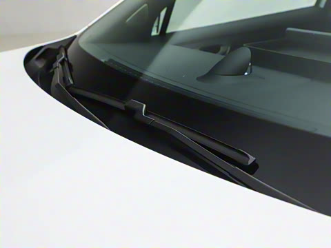 2025�� ���� Max ������