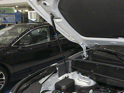 2026�� 2.5L���ܵ��˫���������� 7��