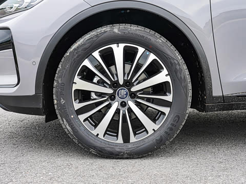 2025�� �Ǽݰ� DM-i 175KM ������