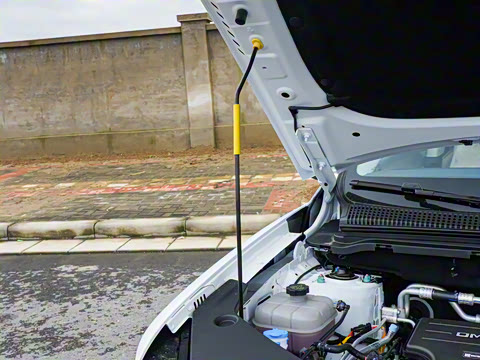 2026�� DM-i 133KM��Խ��