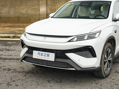 2026�� DM-i 133KM��Խ��