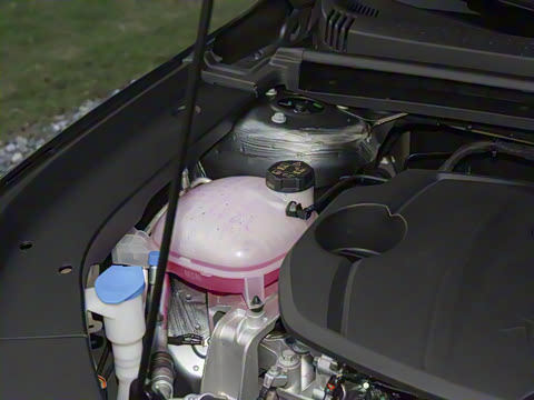 2026�� ��5�� 1.5T DCT�콢��