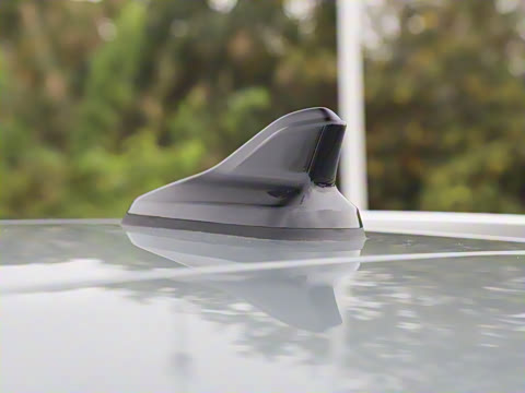 2026��  PURE+��