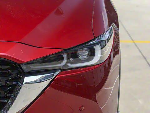 2025�� 2.0L �Զ���������Pro