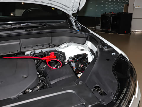 2026�� B6 ������Զ������ 6��