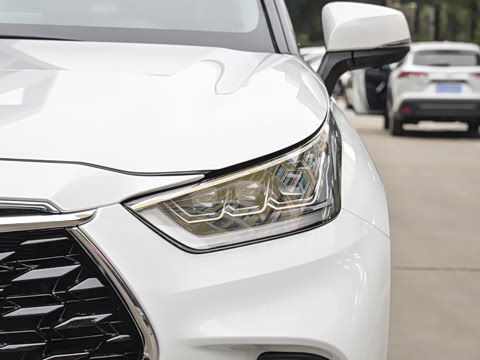 2026�� 380T �������� 7��