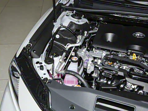 2026�� ˫�� 2.0HGVP ������