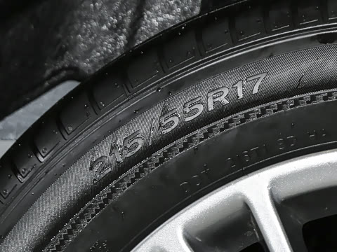 2026�� ˫�� 2.0HGVP ������