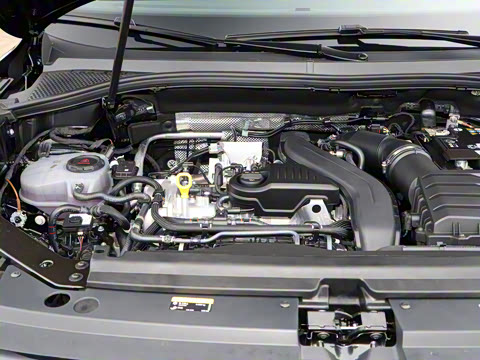 2025�� ���ڿ� 300TSI �Զ��������ڰ�