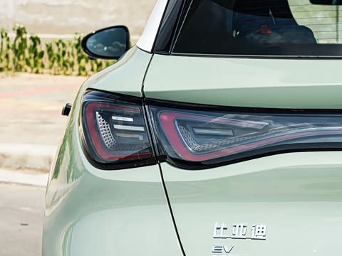 2026�� 520����Plus��