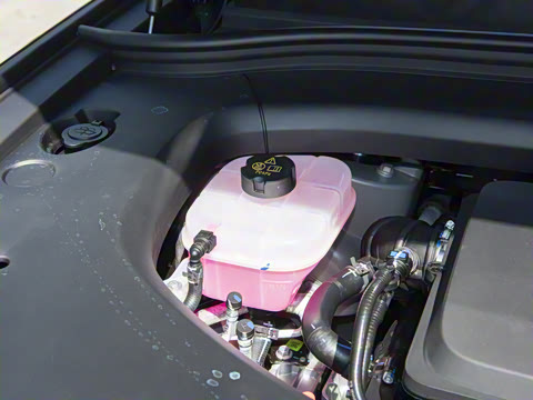 2026�� ���� Max������ 5��